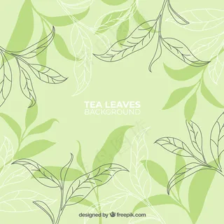 手绘茶叶背景