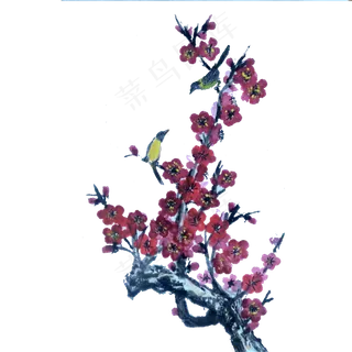 中国风手绘国画梅花png免扣素材