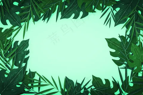 热带树叶背景 热带树叶背景