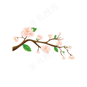 一株淡粉色梅花