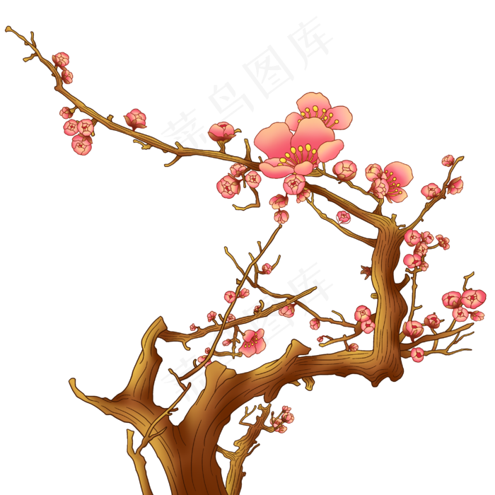 国潮梅花花卉(3000X3000(DPI:300))psd模版下载