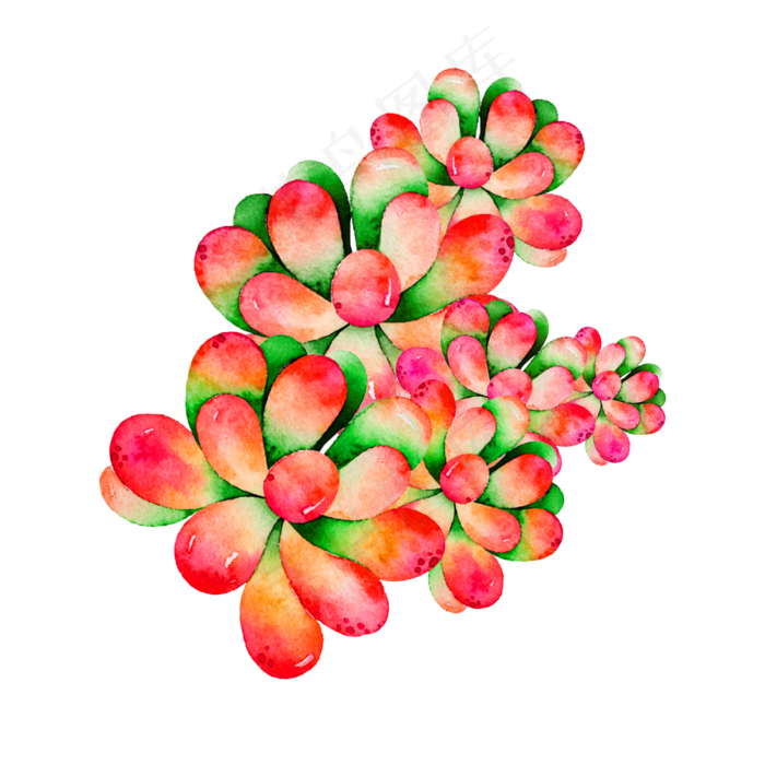 秋季的多肉植物手绘(3000X3000(DPI:762))psd模版下载