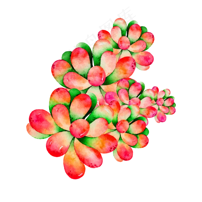 秋季的多肉植物手绘(3000X3000(DPI:762))psd模版下载