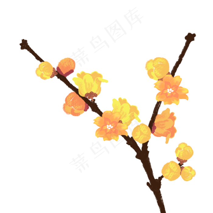 卡通黄色腊梅(2000X2000(DPI:300))psd模版下载