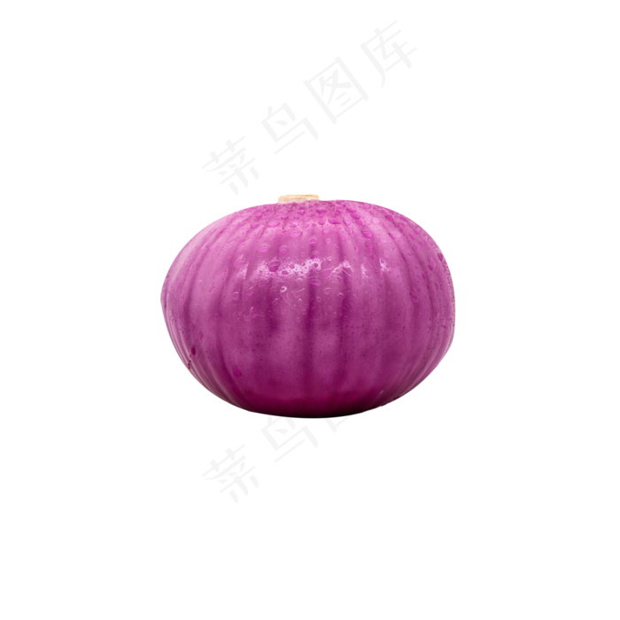 一个紫色洋葱(2000X2000(DPI:300))