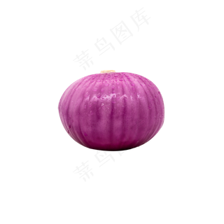 一个紫色洋葱