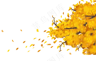 节气寒露秋天落叶