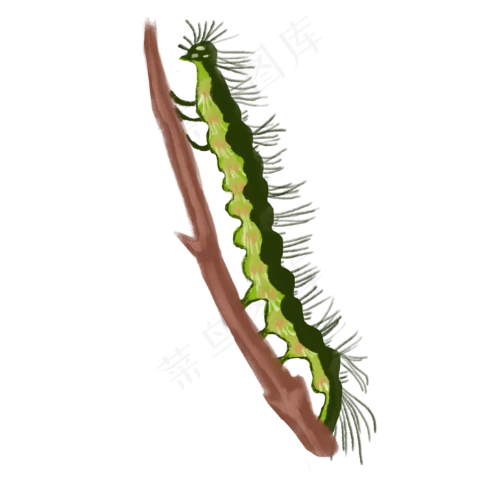 手绘清新教师节春蚕(2000X2000(DPI:300))psd模版下载
