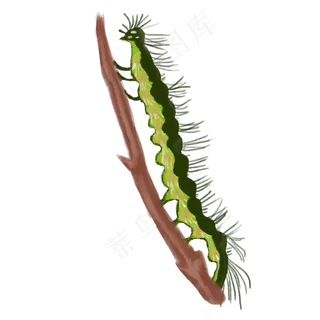 手绘清新教师节春蚕