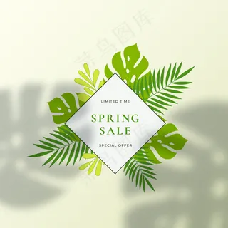 热带树叶夏季标志或标志模板。