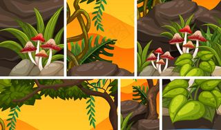 夕阳映衬着大自然的背景