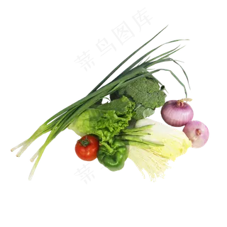 绿色有机蔬菜组合
