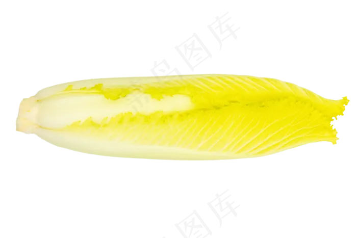 黄色蔬菜白菜(3000X3000(DPI:300))