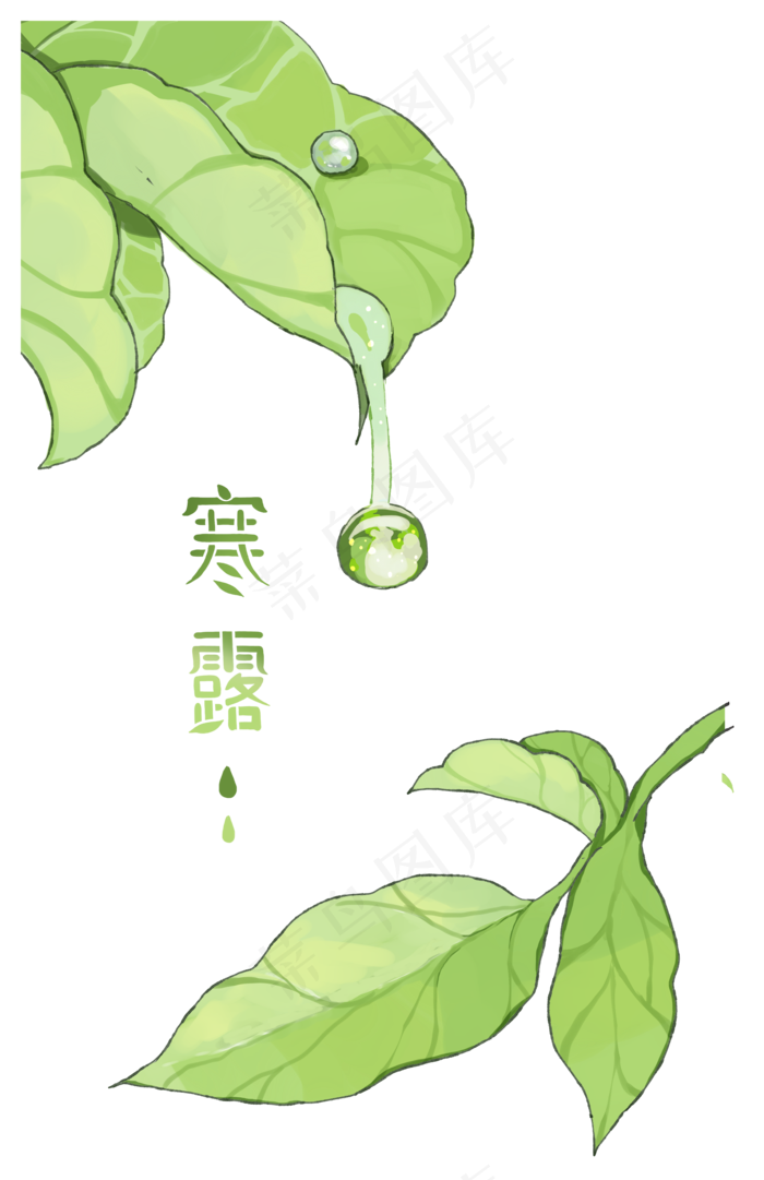 寒露叶子水滴素材(1835X2835(DPI:300))psd模版下载