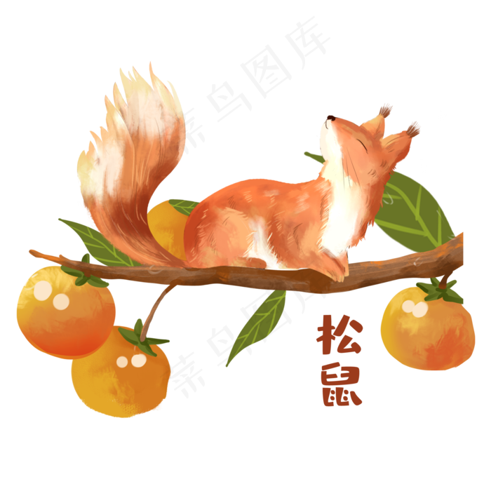 秋天动物松鼠素材(2000X2000(DPI:300))psd模版下载