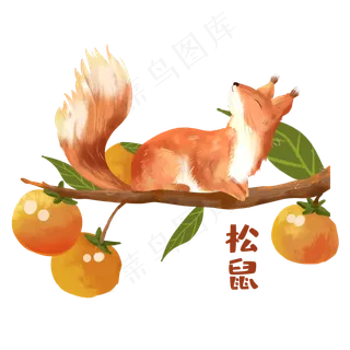 秋天动物松鼠素材