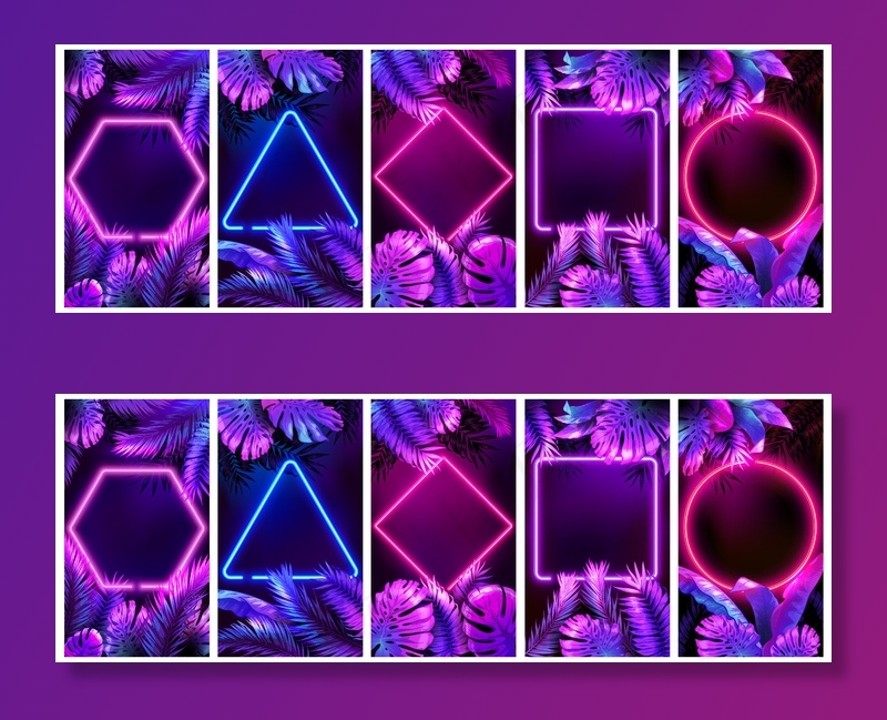 热带霓虹灯框架。明亮发光的树叶，网络花框和树叶在霓虹灯背景设置。