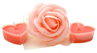 粉红色的花和蜡烛