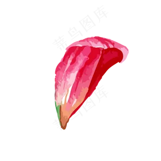 粉红色花瓣七夕情人节