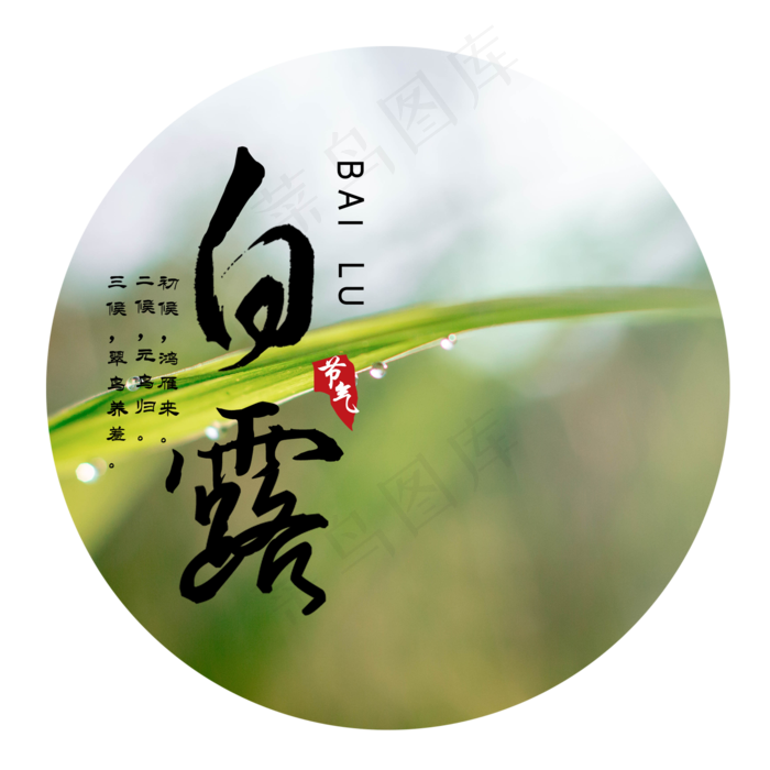 白露节气绿叶(2000X2000(DPI:300))psd模版下载