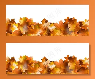 秋叶的图案。