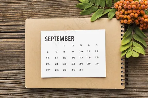 秋沙棘挂历俯视图