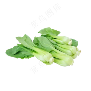 三个小油菜