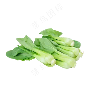 三个小油菜 三个小油菜