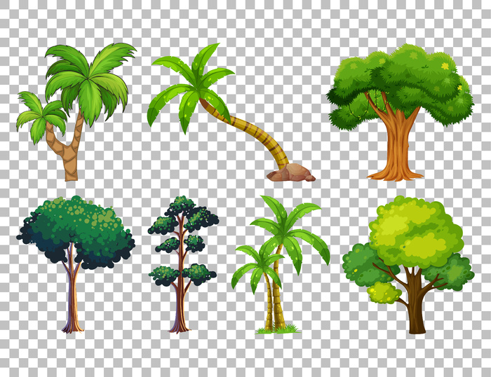 在透明的树上设置