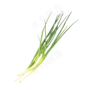 青葱蔬菜