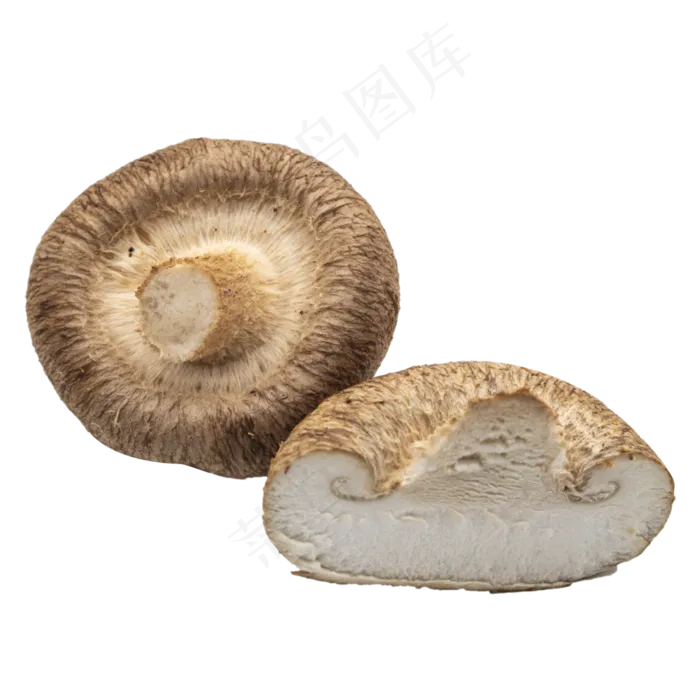 新鲜蔬菜蘑菇(4000*4000px 300 dpi )