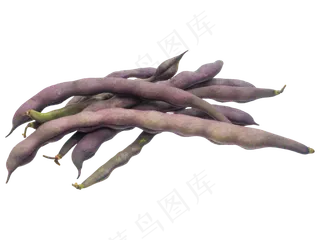 红色长豆角蔬菜