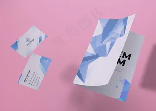 宣传单,DM传单和卡片品牌公司商业模型样机纸