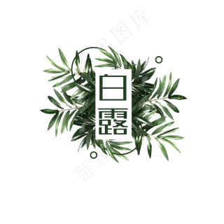 白露 节气 绿色 植物