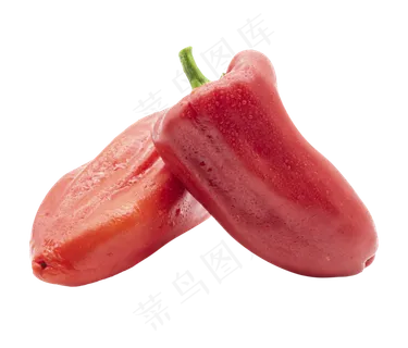 健康蔬菜菜椒