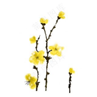 冬天腊梅黄色免抠