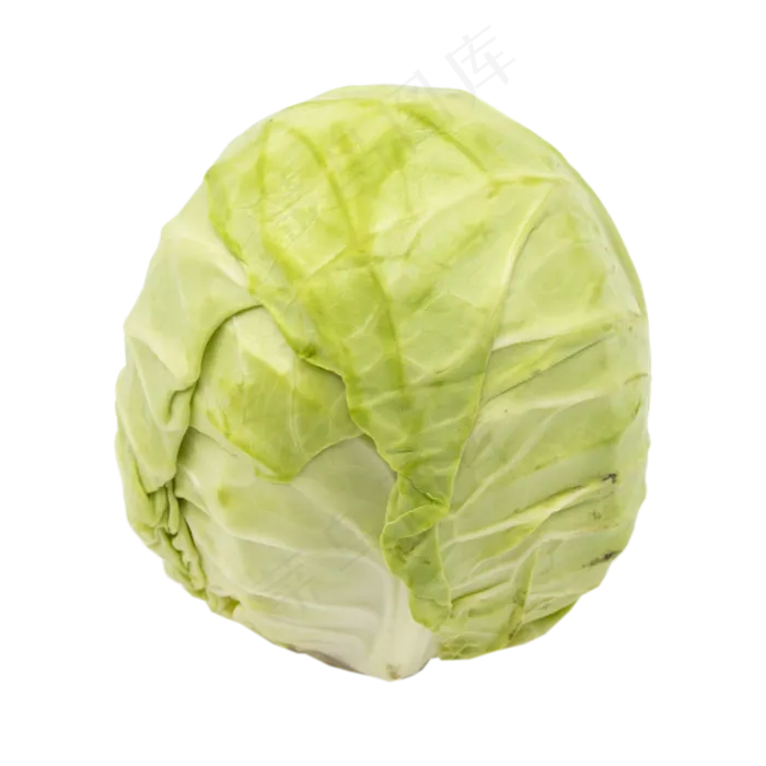 绿色健康卷心菜(2000X2000(DPI:300))