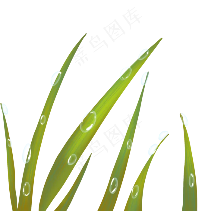 二十四节气寒露露水(2000X2000(DPI:300))psd模版下载