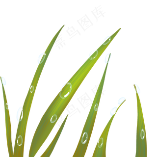 二十四节气寒露露水