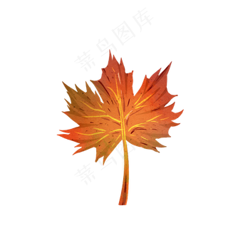 秋天秋叶落叶枫叶手绘素材