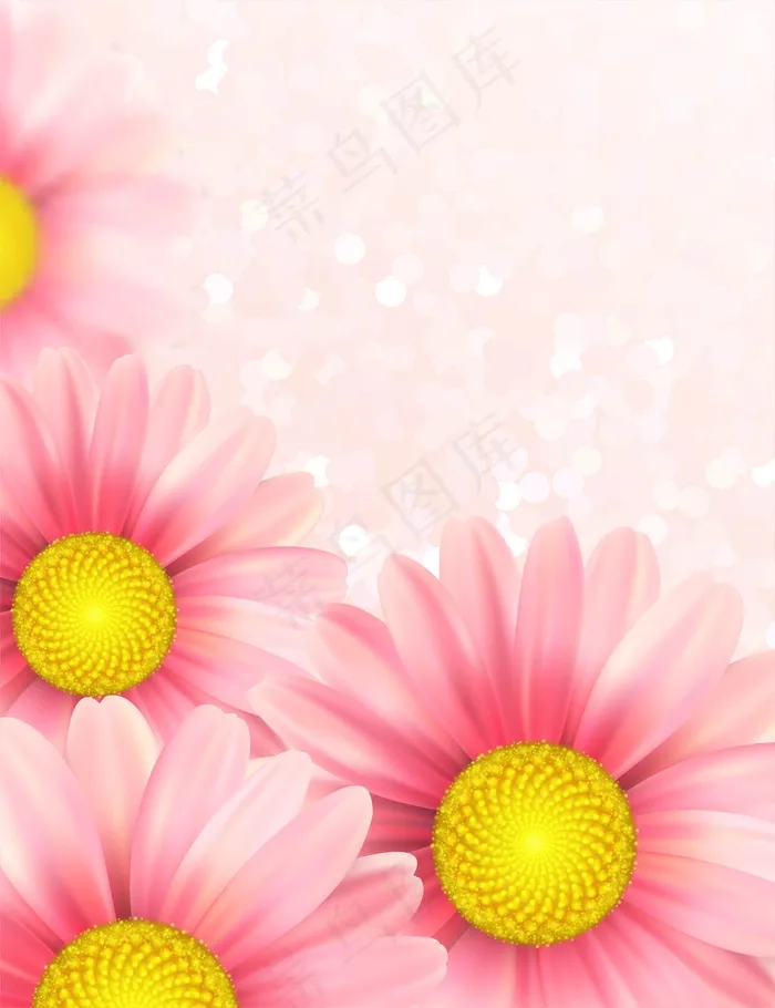 背景是粉红色的雏菊花。插图