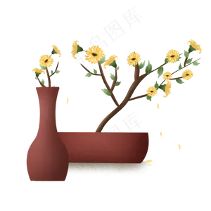 重阳菊花