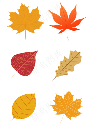 秋叶之黄色金色红色秋天秋季枫叶
