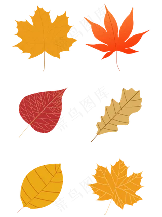 秋叶之黄色金色红色秋天秋季枫叶