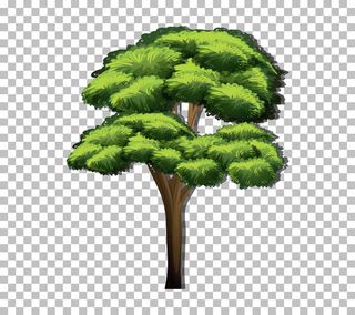 透明背景上有绿叶的树