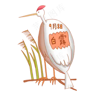 白露白色小鸟 白露白色小鸟