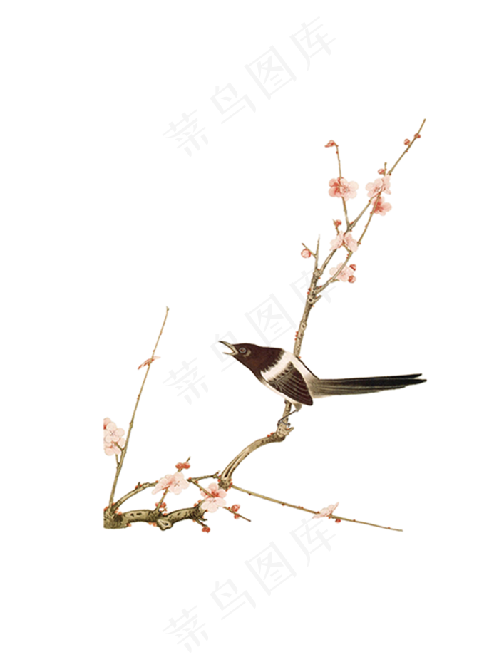 国画花鸟中国风高清免扣素材30