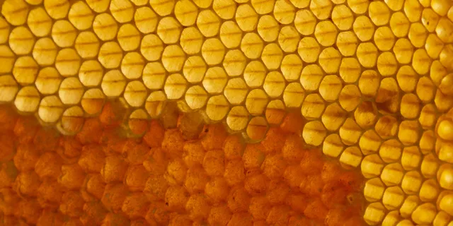 黄色蜂窝纹理