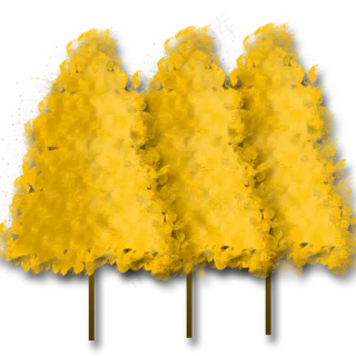 秋天金黄色的树木树林