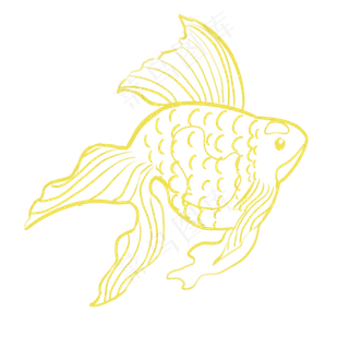 金色小鱼